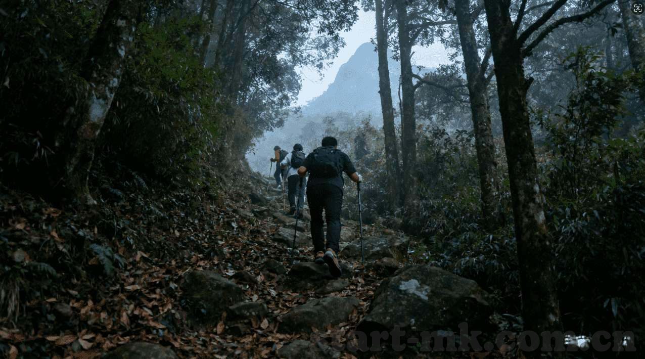 百家乐路单记录软件-百家乐路单记录软件，提升效率与精准度的利器